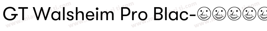 GT Walsheim Pro Blac字体转换